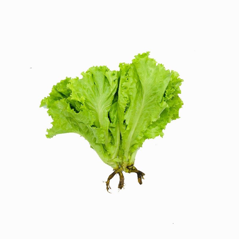 Khmer Lettuce, Fresh, 100g