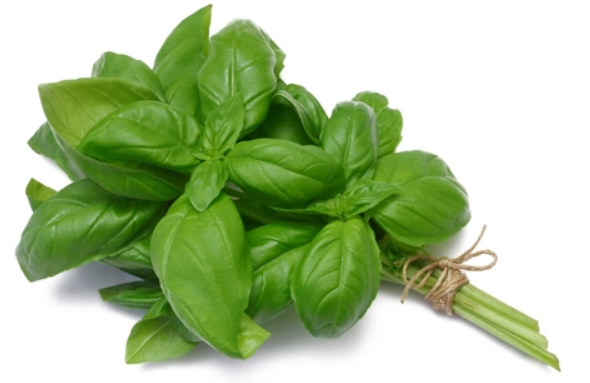 Basil, Fresh, 50g