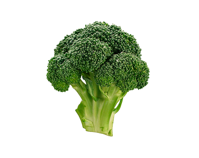 Broccoli, Fresh, 1 count