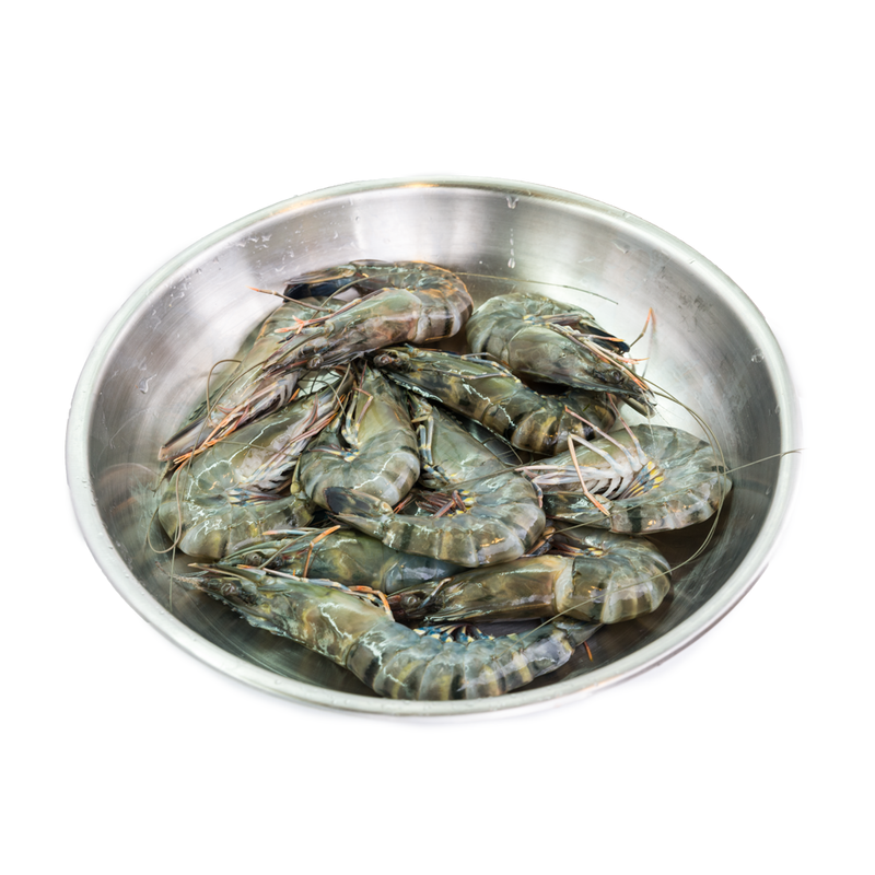Tiger Prawn, 500g, 9-12 count